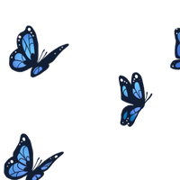 Rainpaw