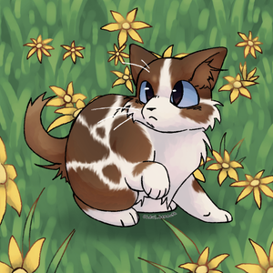 owl.png