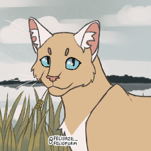 heather.png