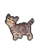 sdfsefe.png
