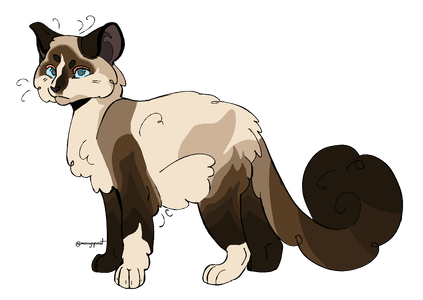snowshoe_no_swatch.png