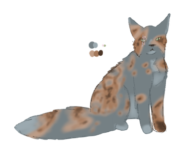 798993a8-d093-4c69-89e9-d6138b07c86a.png