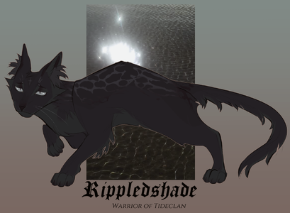 97060473_OrZCYOTiPNogc2q (2).png