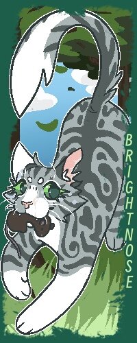 IMG_3044.jpeg IMG_3044.jpeg