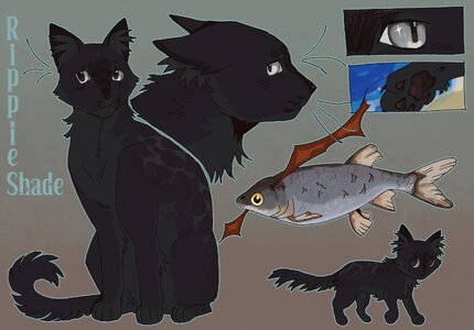 rippleshade.jpg