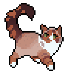 1000008698.png