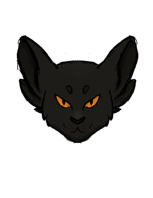 Nightpoppy.png