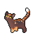 briar app.png