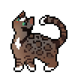 acorn.png acorn.png