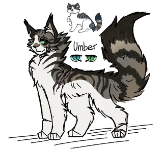umber.png umber.png