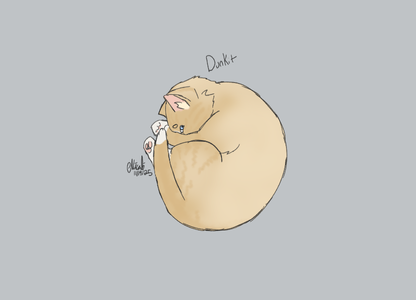 Dunkit.png
