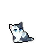 pebblekitten.png pebblekitten.png