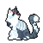 pebblewarrior1.png pebblewarrior1.png