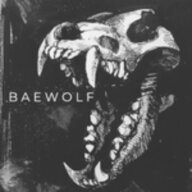 baewolf