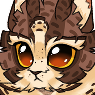 Hootkit