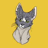 Starlightpaw