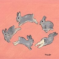 bunnykit