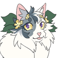 Cloudkit