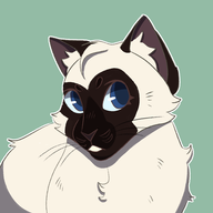bloomkit