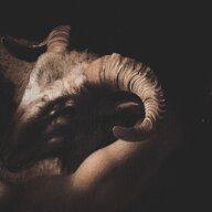 Goatpaw