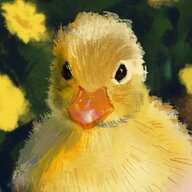 DUCKLINGKIT