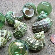 snailkit