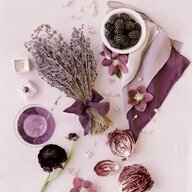 wisteriastrike
