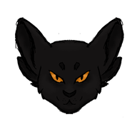 Nightpoppy