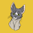 Starlightpaw