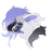 mangomaddy