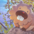 Bidoof