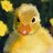 DUCKLINGKIT