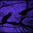 CROWPAW.